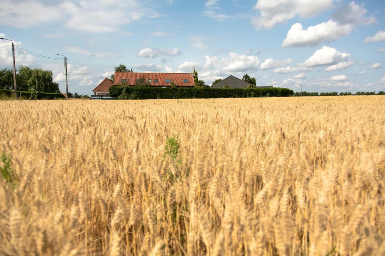 Gites De La Vesee La Chapelle d'Armentieres Экстерьер фото